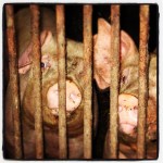 fbdbec7eb2e911e2a68422000a1fb163_7