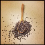 1172965_1384123231830442_380912621_n