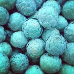 993933a2cf1111e3ac1e24be059cc7b0_8