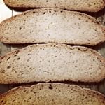 11328358_1645128865705140_1678868931_n